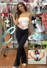 FTV Cece