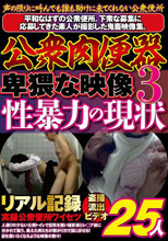 公衆肉便器 卑猥な映像 性暴力の現状3 25人
