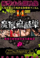 魔駑痲齲巣　弐