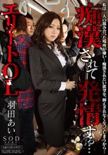 痴漢されて発情する… エリートOL 羽田あい.