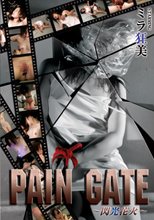 PAIN GATE ～閃光花火～