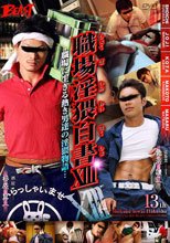 職場淫猥白書 XIII