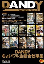 DANDYちょいワル金髪全仕事集