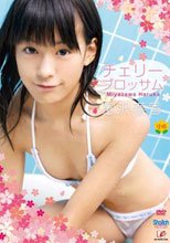 宮沢春香 『チェリーブロッサム』