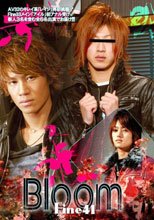 Fine41 Bloom