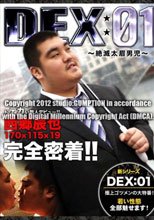 DEX:01 ～絶滅太眉男児～