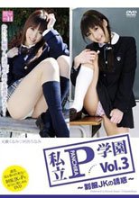 私立P(ハ゜ンチラ)学園 Vol.3 ~制服JKの誘惑~