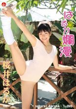 桜井はるか はるか爛漫