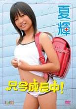夏輝　『只今成長中！』