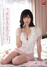 今、家に居るのは私だけです…。 野宮さとみ_