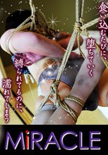 「緊縛美シリーズ　～非常勤講師の縄跡～」
