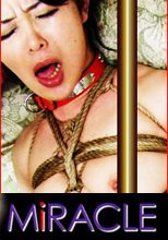 「輪姦淫戯　～熟女の媚肉～」