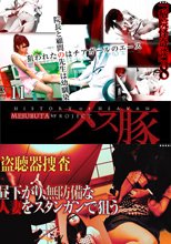 盗聴器捜査　昼下がり、無防備な人妻をスタンガンで狙う  + 病院怪奇談８～院長と顧問の先生は幼馴染　狙われたのはチアガールのエース～