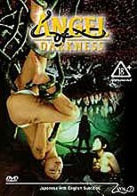 (原DVD畫質)Angel Of Darkness 2: Live Action(妖獸電影版劇情)