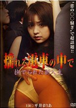 電車中的愛撫 (語音:日 字幕 : 繁中/簡中)