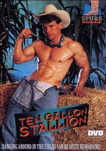 Ten Gallon Stallion