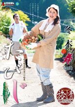 たびじ 上司と部下 冬木舞