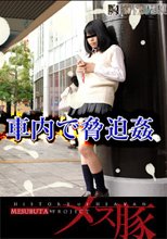 クズニート弟　うとうとした姉に中出し!! 「太ももがいつも気になるんだよ!!今日は、薬で・・・」 + ナンパしたJK　車内で脅迫姦