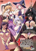 アトリエかぐや コレクション コアMIX メガ盛り オカズですよ