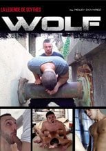 The Wolf