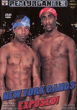 New York Gangs Exposed