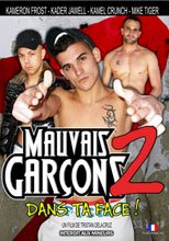 Mauvais Garcons 2