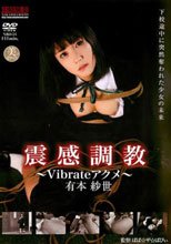 震感調教 ～vibrateアクメ～ 有本紗世