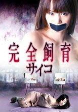 完全飼育 彩子 サイコ