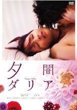 黃昏大麗花 夕闇ダリア
