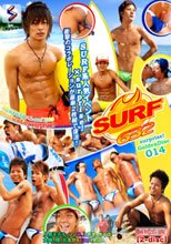surprise! GOLDEN DISC 014