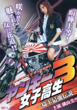 ヤンキー女子高生3 ～埼玉最強伝説～