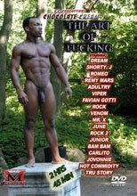 The Art Of Fucking