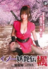 くノ一妖艶伝 1-3