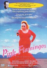粉紅色火烈鳥pink flamingo
