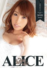 美雪ありす PREMIUM BOX 8時間 （ブルーレイディスク）