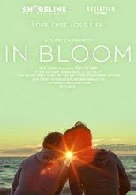 n Bloom
