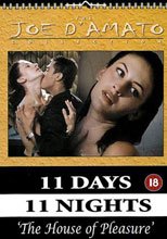 11天11夜之七