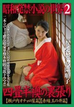 昭和発禁小説の世界2 四畳半襖の裏張り 瀬戸内オチョロ屋篇/赤線玉の井篇