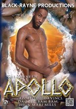 The Rayne Of Apollo