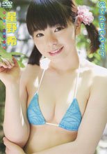 星野希／のぞみをかなえて 星野希