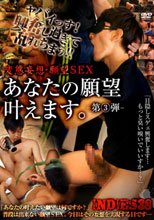 INDIES 38 あなたの願望叶えます。-第3弾-