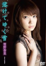 溶けてゆく雪/雪野香里