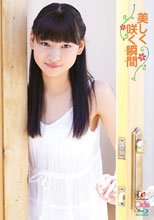 美しく咲く瞬間/早坂美咲
