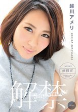 キャットウォーク ポイズン 141 【元グラドル】ジャポルノ解禁 : 越川アメリ (ブルーレイ版) 藍光新品