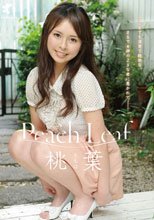 Peach Leaf/桃葉