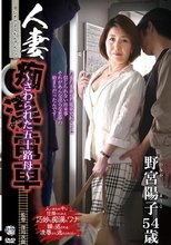 人妻痴漢電車～さわられた五十路母～ 野宮陽子