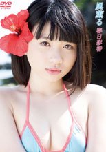 春日彩香／風薫る 春日彩香