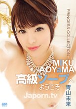 PRINCESS COLLECTION 高級ソープへようこそ : 青山未来 (ブルーレイディスク版)