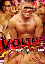 VOLTAGE – BORN TO FIRE SEX