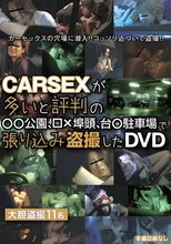 CARSEXが多いと評判の●●公園、□×埠頭、台●駐車場で張り込み盗撮したDVD